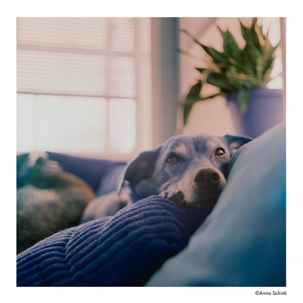 Harman Switch Azure 125